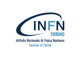 infn torino